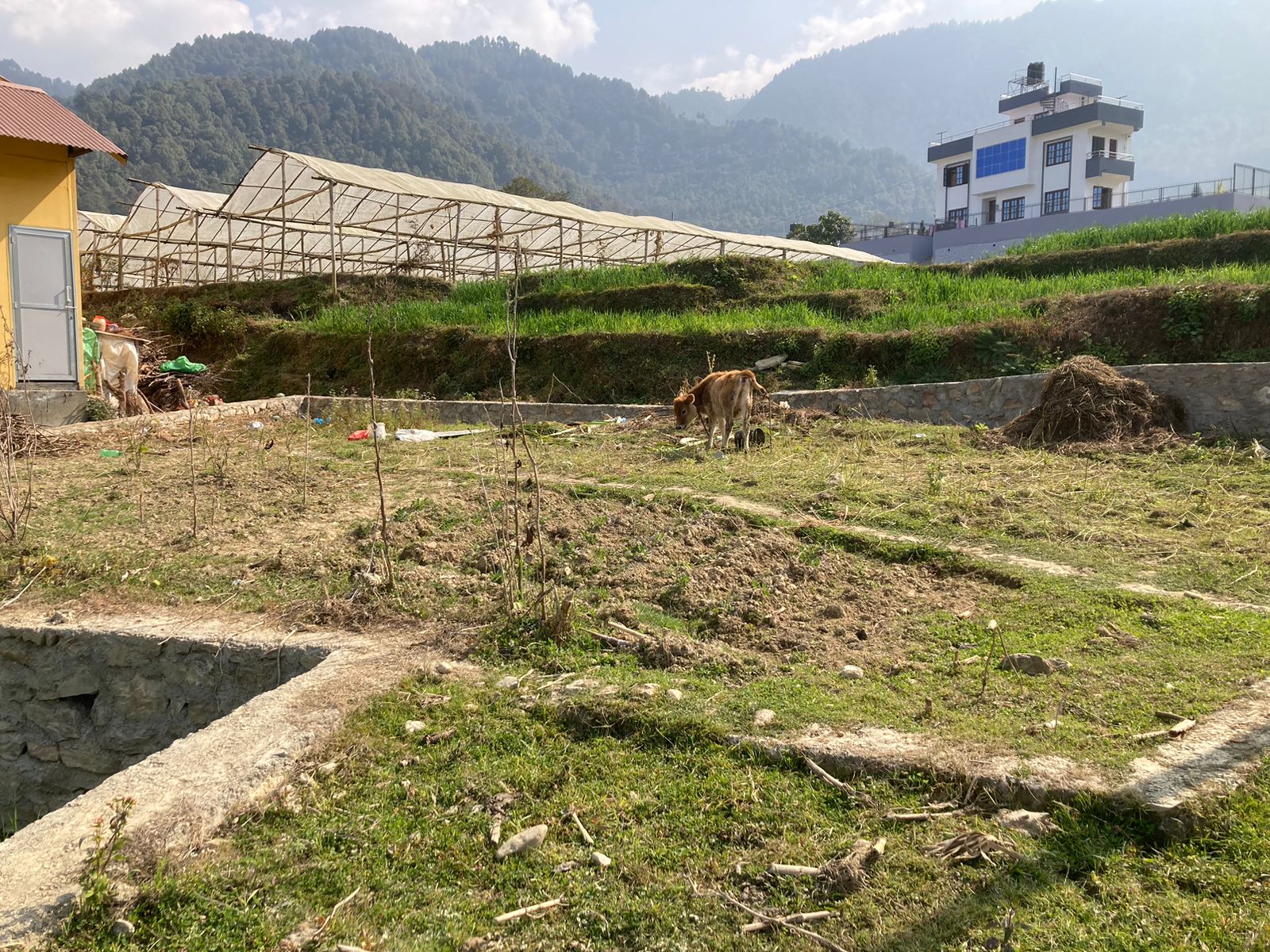 Picture of Mahalaxmi Municipality, Bagmati